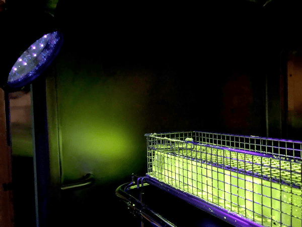 Titan UV-A LED - Image 2